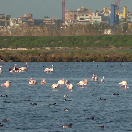 Appartement Il Violoncello